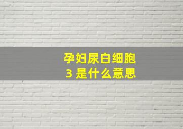 孕妇尿白细胞3 是什么意思